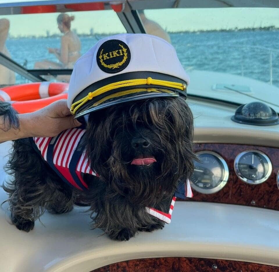 Can You Bring Your Pet on a Yacht in Miami?